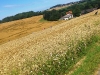 dsc_0107 dsc_0107