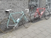 dscn0152 dscn0152