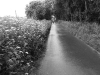 dsc_0094 dsc_0094