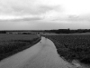 dsc_0096sw dsc_0096sw